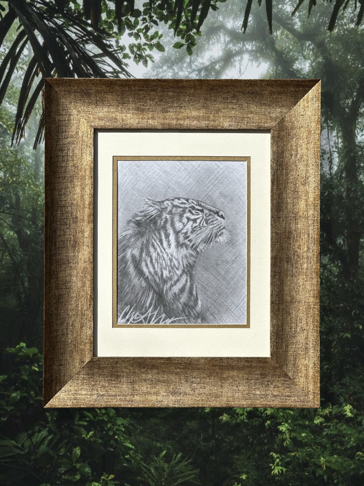 Original Tiger Sketch