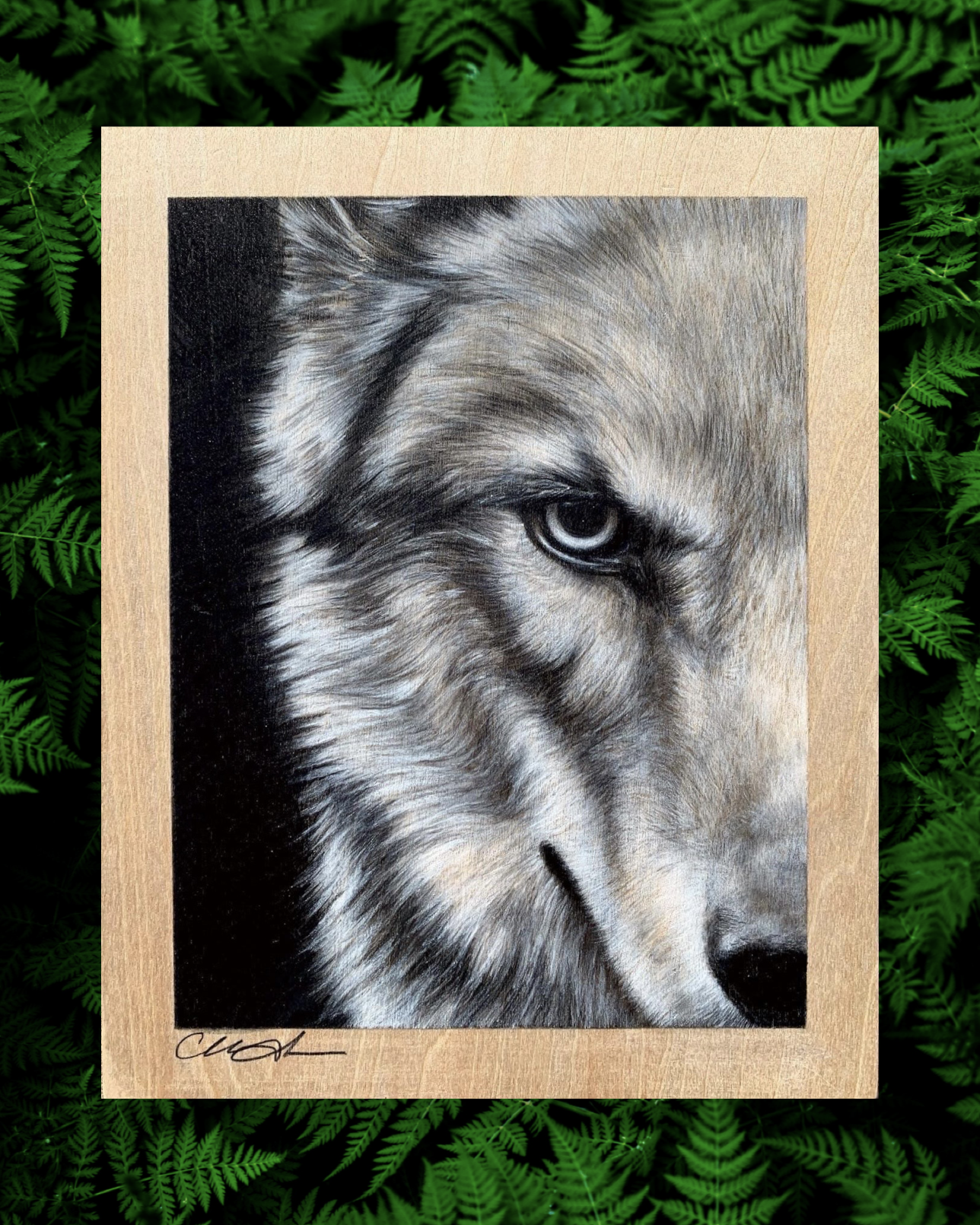 Instinct- Original Charcoal Drawing