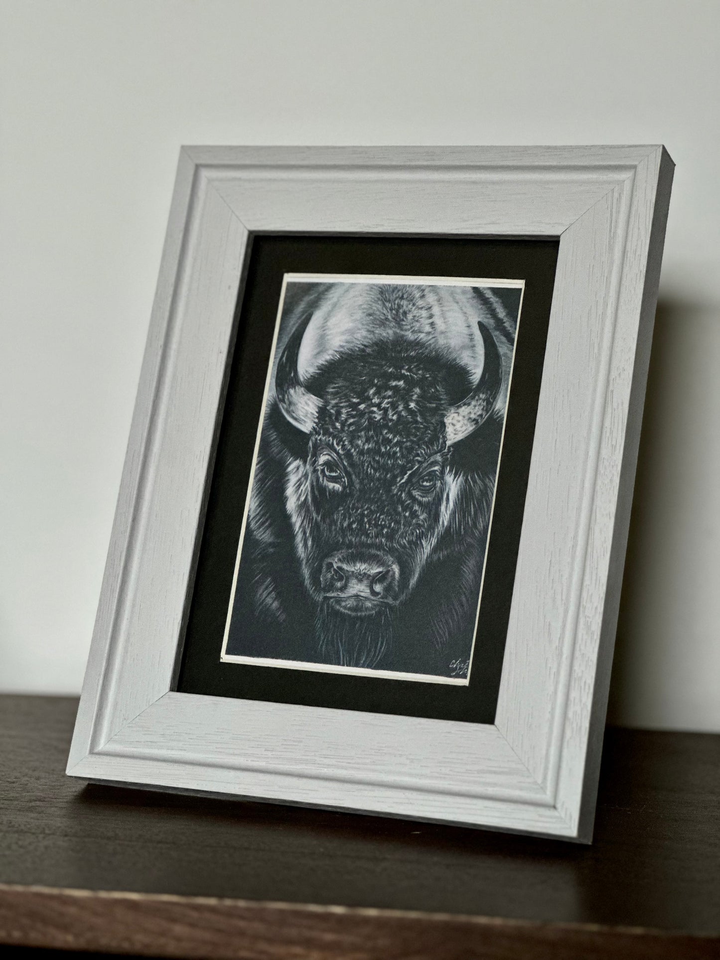 Bison- Framed Print