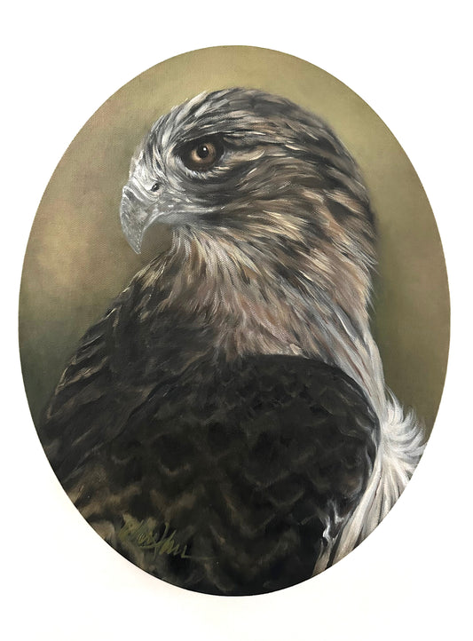 Original Hawk Oil Painting