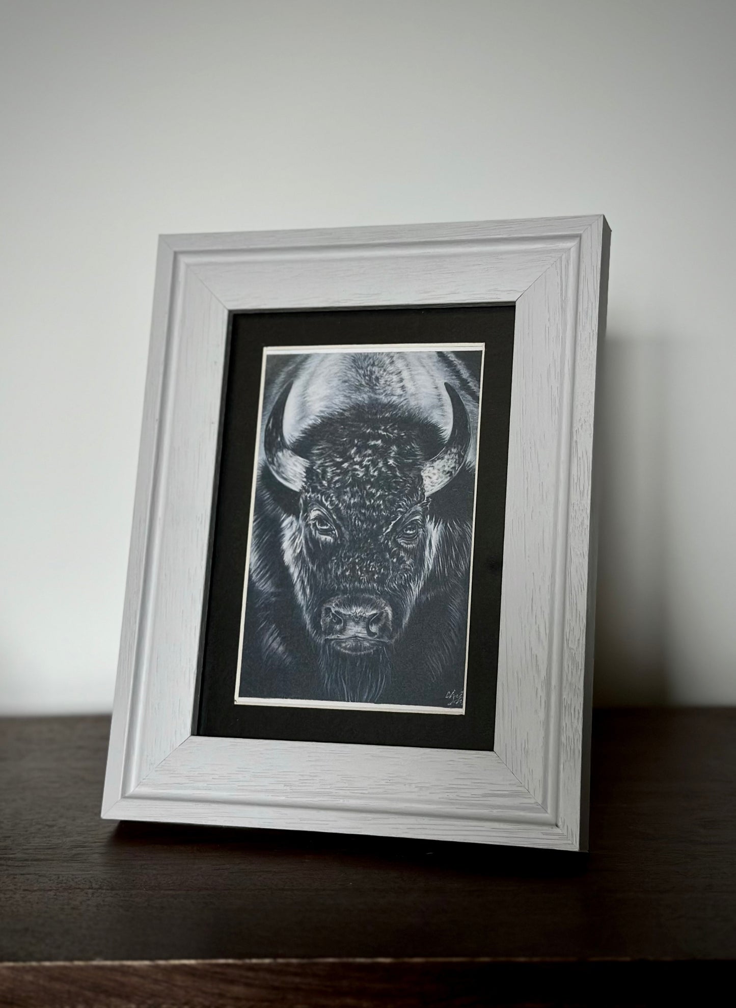 Bison- Framed Print