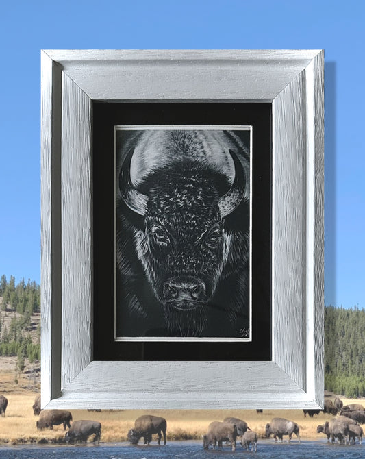 Bison- Framed Print