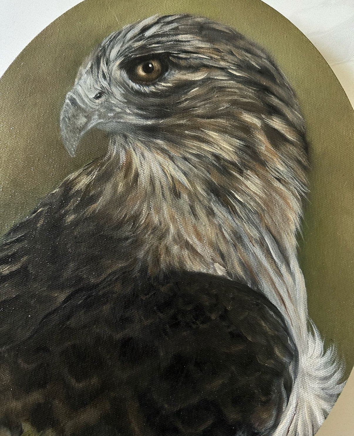 Original Hawk Oil Painting