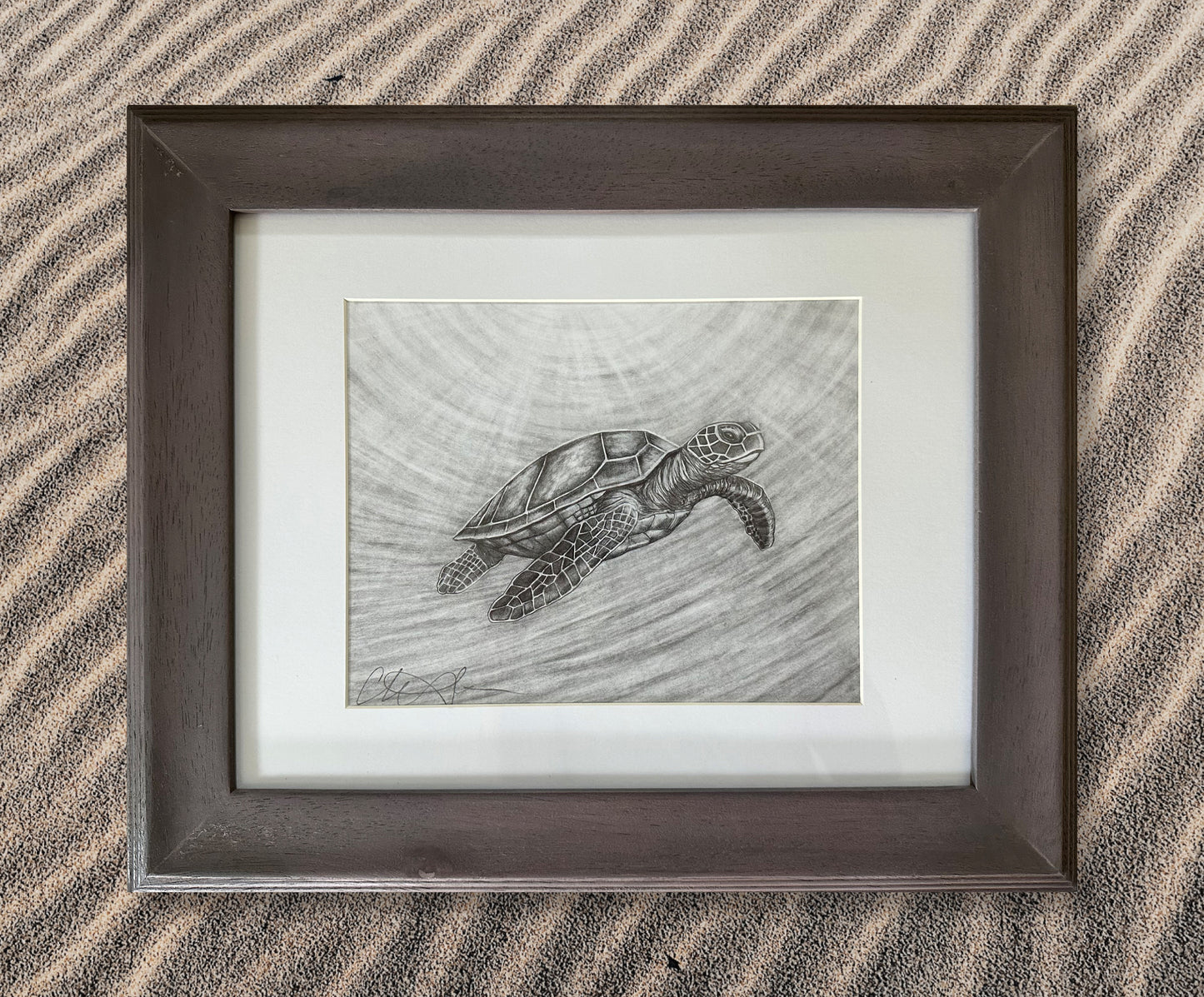 Original Sea Turtle Drawing