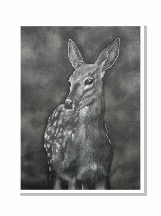 Limited Edition Deer Print
