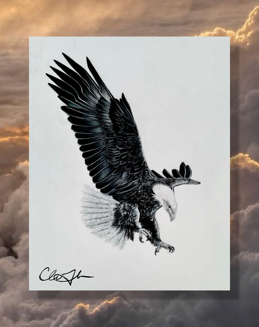 Original Eagle Charcoal Drawing
