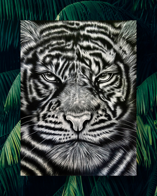 Original Tiger Charcoal Drawing