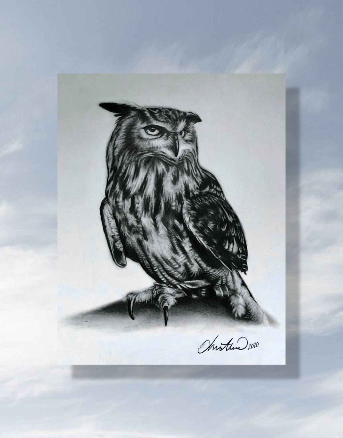 Original Owl Charcoal Drawing