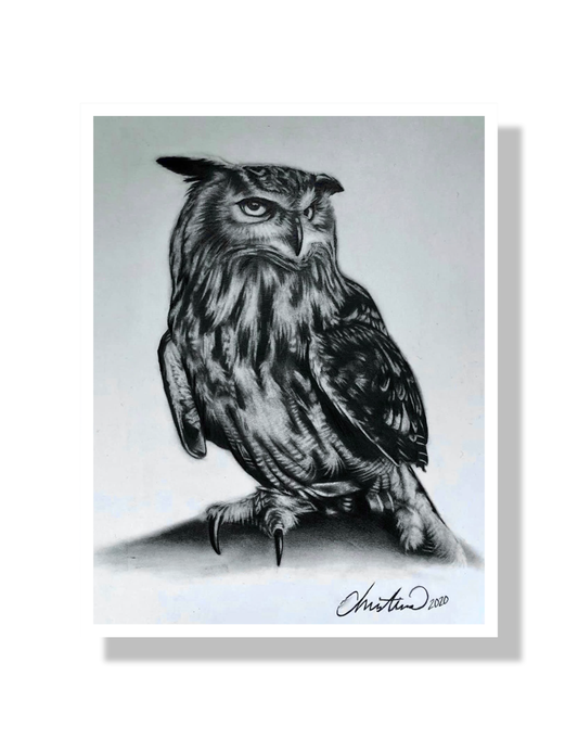 Limited Edition Owl Print