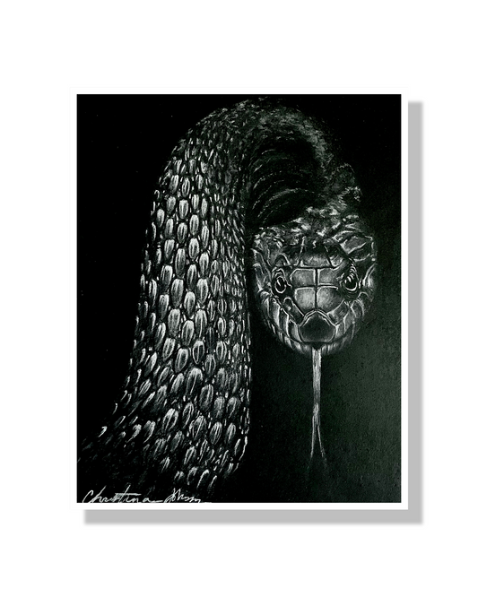 Limited Edition Snake Print