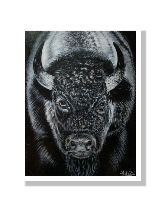 Limited Edition Bison Print