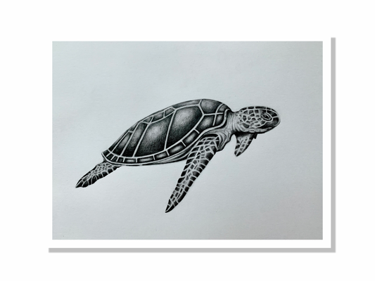 Limited Edition Sea Turtle Print