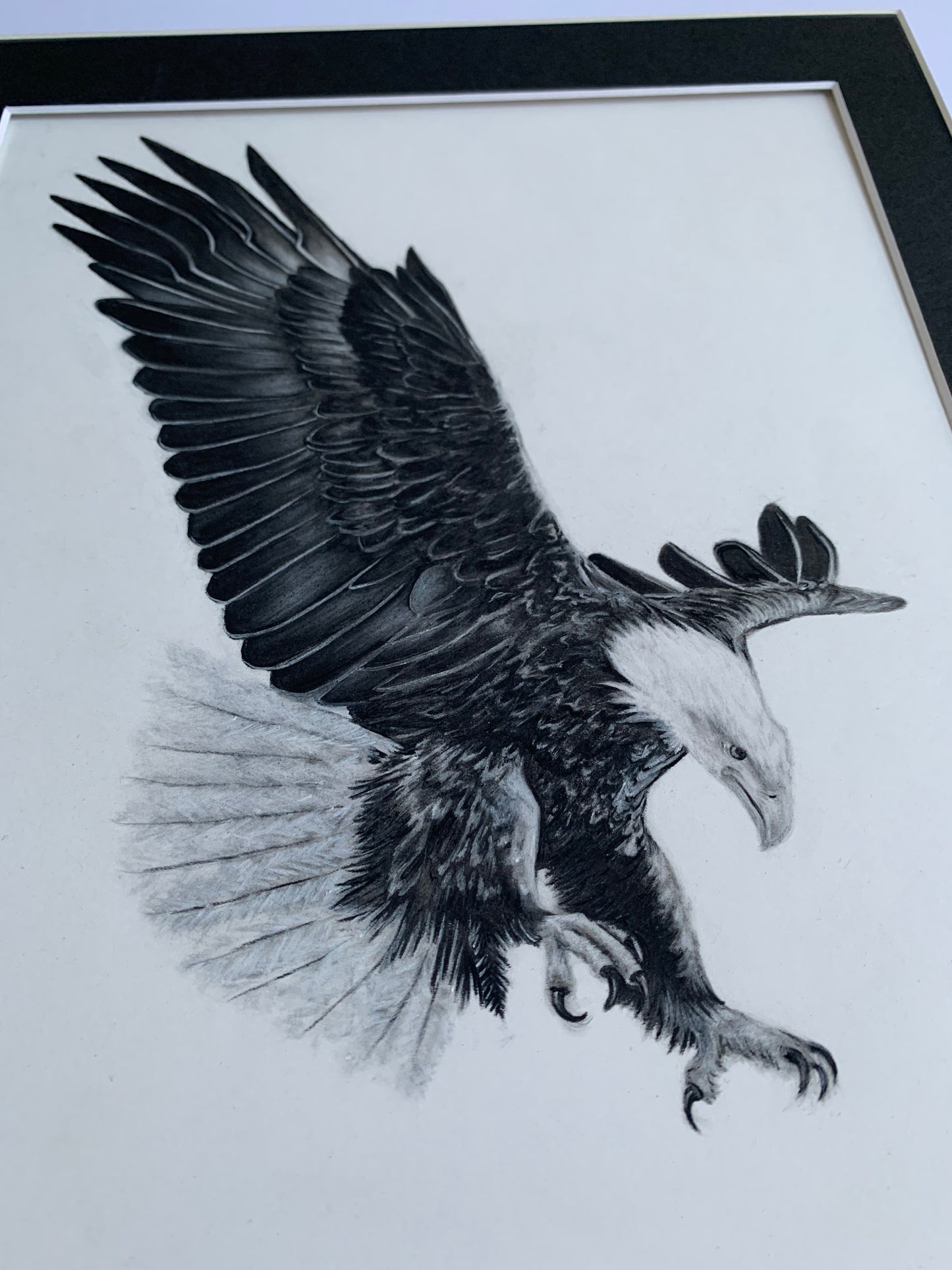 Original Eagle Charcoal Drawing