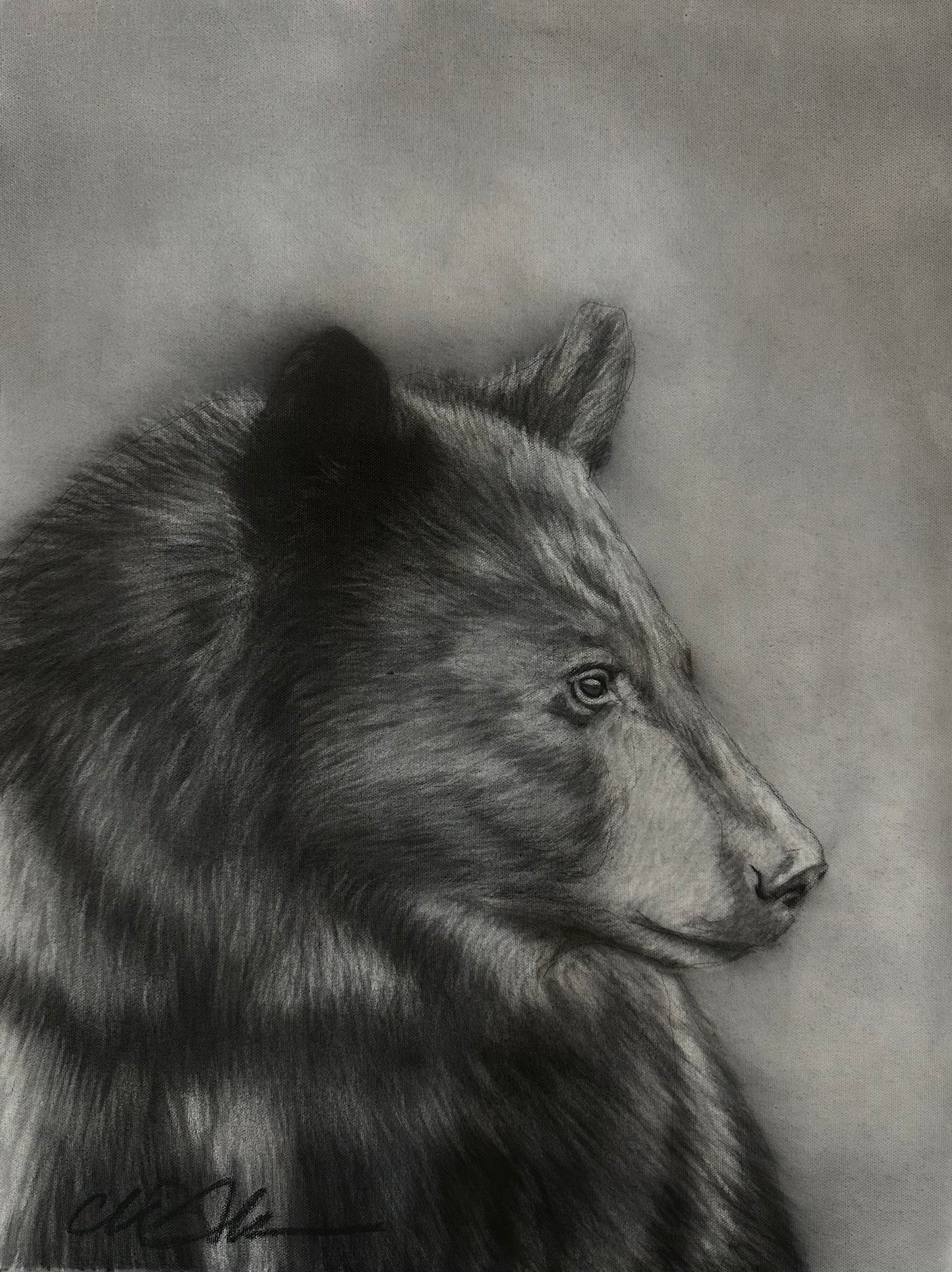 Original Bear Charcoal Drawing