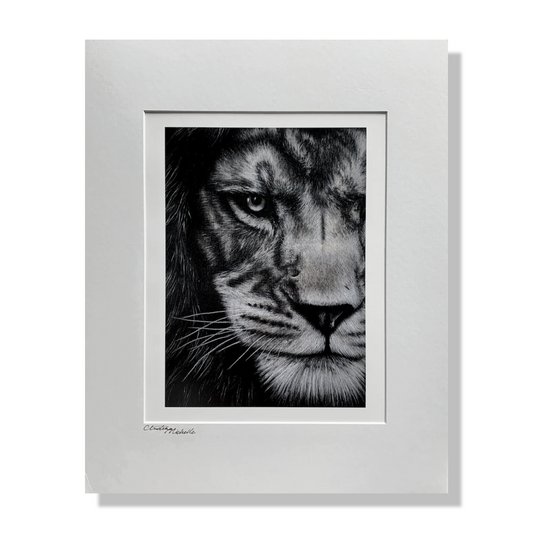 Matted Limited Edition Lion Print