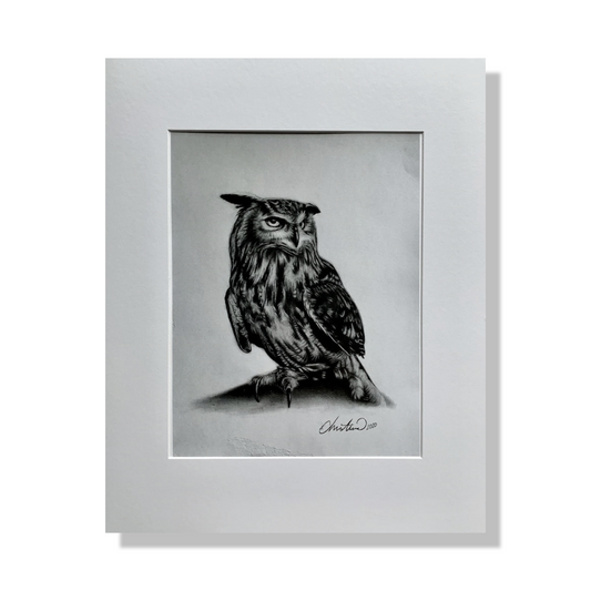 Matted Limited Edition Owl Print