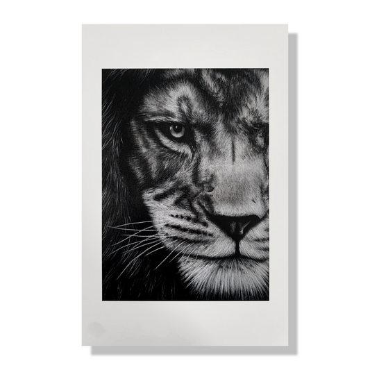 Limited Edition Lion Print