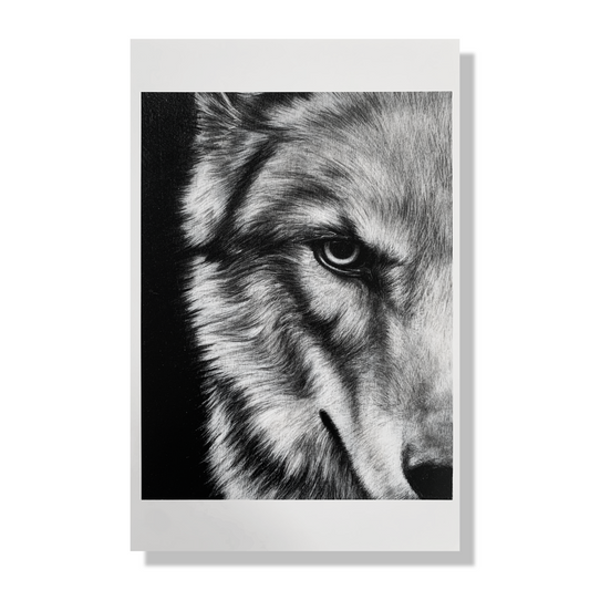 Limited Edition Wolf Print